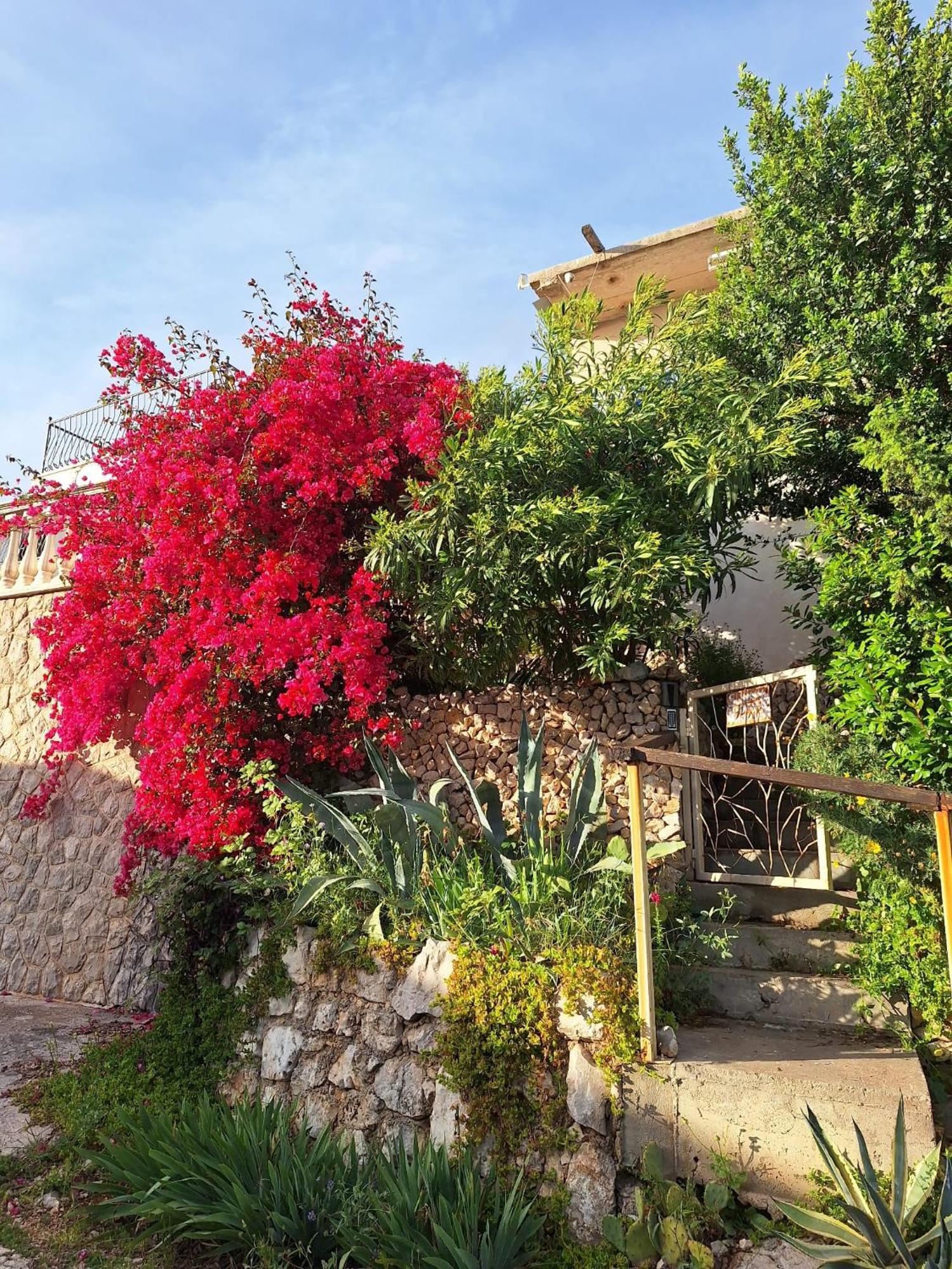Vila Sunnyday House Masline Exteriér fotografie